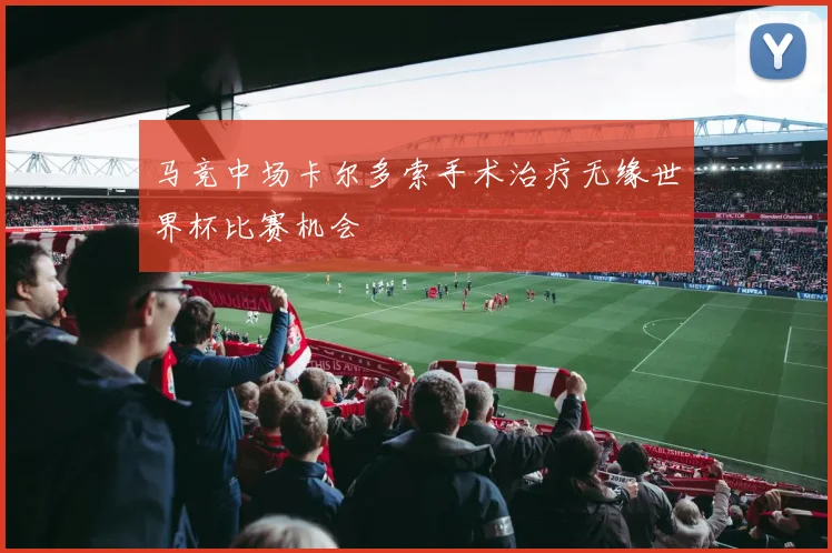 马竞中场卡尔多索手术治疗无缘世界杯比赛机会